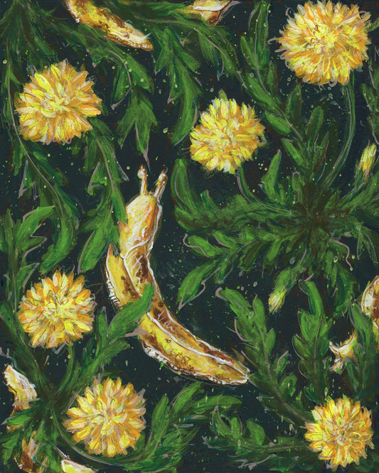 Dandy - Print